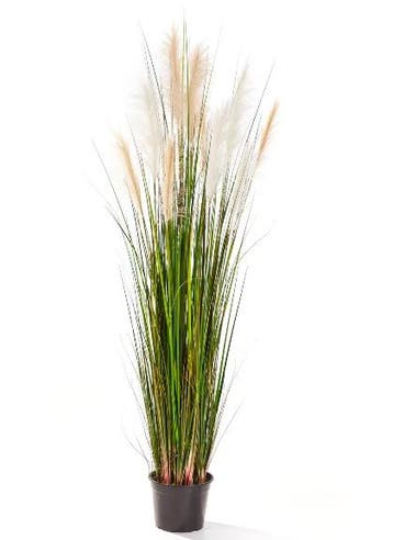 Kunstplant Pijlriet 150 cm, Verzenden