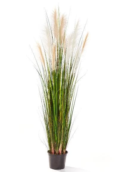 Kunstplant Pijlriet 150 cm, Maison & Meubles, Plantes d'intérieur, Envoi