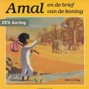 AMAL EN DE BRIEF VAN DE KONING 9789060698013 C. Gajadin, Verzenden, C. Gajadin