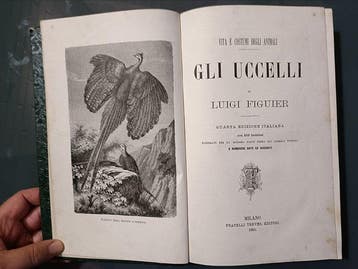Luigi Figuier - Enciclopedia completa Luigi Figuier - 1881