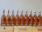 2023 San greg Feudi di San Gregorio Campania Rosato -, Nieuw