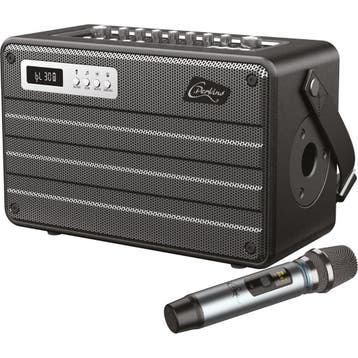 ROADY FL Draagbaar Alles In 1 Systeem Bluetooth Speaker Met, Nieuw