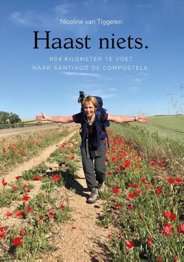 Haast niets. 9789080864252 Nicoline van Tiggelen, Verzenden, Zo goed als nieuw, Nicoline van Tiggelen