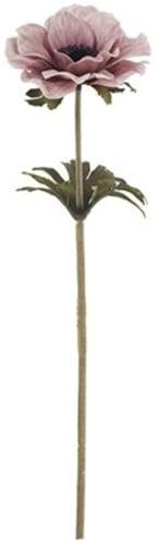 Anemoon Dry Colour Pink Zijdenbloem 35 cm per stuk, Nieuw