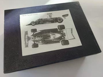 Exoto 1:18 - Modelauto - EXOTO 1/18 Ferrari 312T 1975, Nieuw