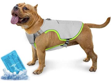 Veiling - Koelvest voor honden (XXL), Animaux & Accessoires, Vêtements pour chiens