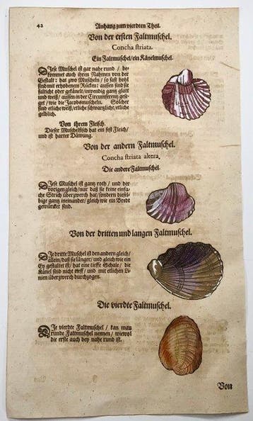 Conrad Gessner [d1565]; folio, 5 hand coloured woodcuts -