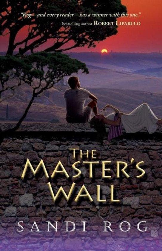 The Masters Wall 9781936341023 Sandi Rog, Livres, Langue | Anglais, Envoi