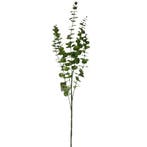 Eucalyptus tak Groen 88 cm per stuk, Nieuw