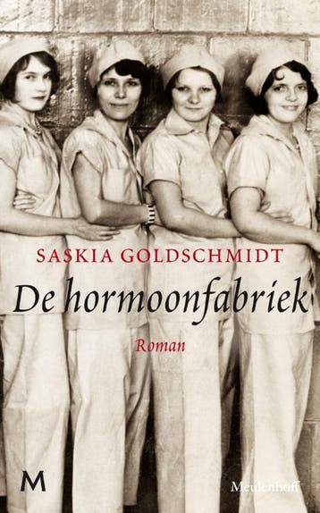 De hormoonfabriek 9789029094863 Saskia Goldschmidt, Verzenden, Zo goed als nieuw, Saskia Goldschmidt
