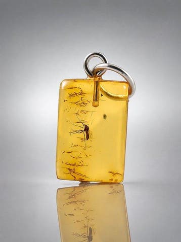 Pendentif en ambre baltique premium – Fossile de moustique