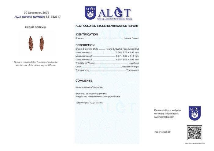 Zonder minimumprijs - Oorbellen Zilver - Garnet -, Bijoux, Sacs & Beauté, Boucles d'oreilles