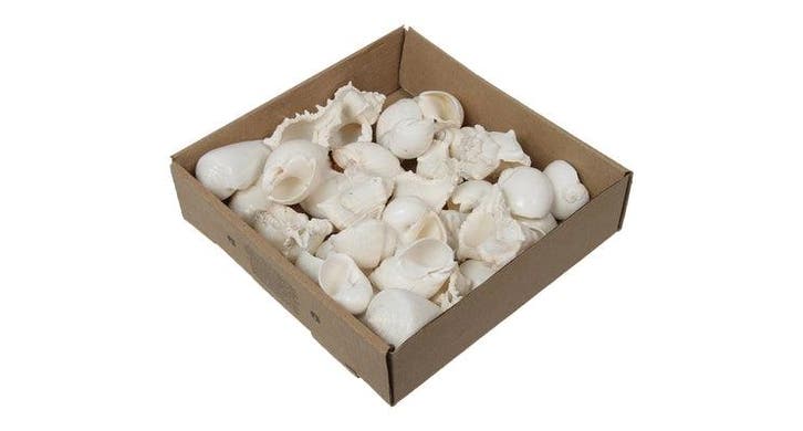 Schelpenmix Wit ca. 500 gram, Hobby en Vrije tijd, Knutselen, Nieuw