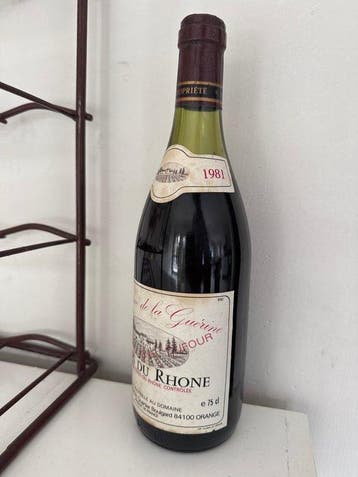 Porte-bouteilles (2) - Fer - Étagère à vin et bouteille de