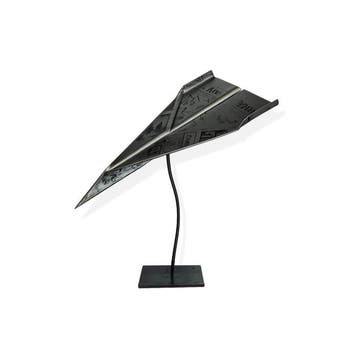 Tihomir Sarajcic (1980) - airplane