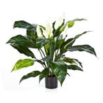 Kunstplant Lepelplant Deluxe 75 cm, Verzenden