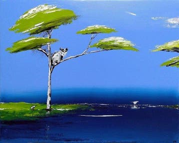 Andrzej Cybura - Koala