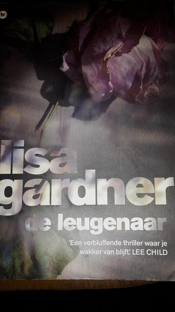 De leugenaar / D.D. Warren / 2 9789044336603 Lisa Gardner, Verzenden, Gelezen, Lisa Gardner