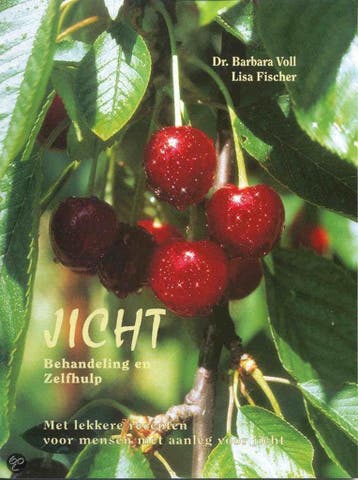 Jicht 9789060306369 B. Voll, Verzenden, B. Voll