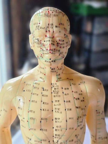 Figure - Vintage Anatomical Acupuncture - Caoutchouc