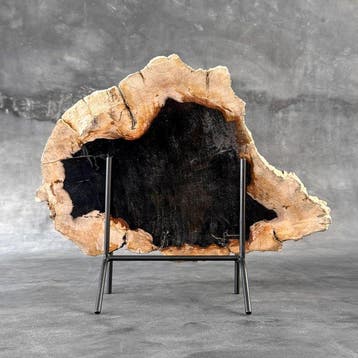 C- Magnifique grande tranche de bois pétrifié sur un socle