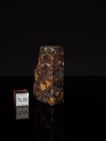 Météorite de Sericho Pallasites - 37 g - (1)