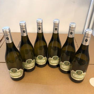 2025 Jermann, Chardonnay - Friuli-Venezia Giulia - 6 Flessen, Nieuw