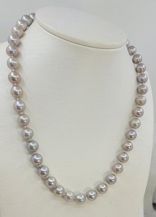 Zonder minimumprijs - Halsketting Zilver, 8x9,5 mm grijze, Bijoux, Sacs & Beauté, Colliers