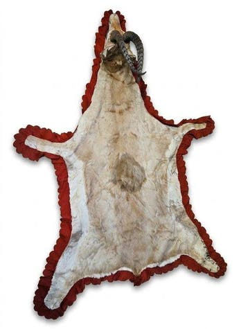 Antilope Support de corps entier pour taxidermie -, Collections