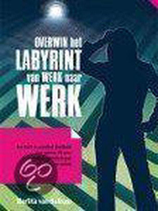 Complete rondreis IJSLAND 9783826212543 Marlita van Belkom, Livres, Livres Autre, Envoi