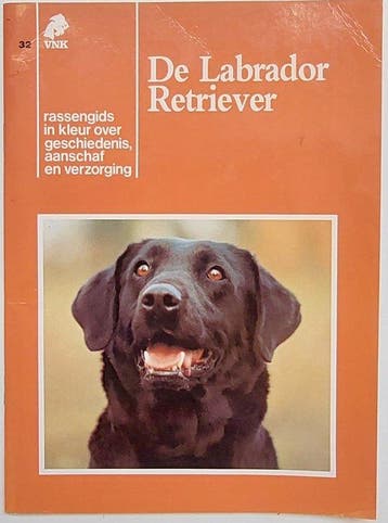 32 labrador retriever V.n.k. gids, Verzenden