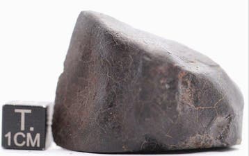 NWA 17743 LL6 breccie met fusiecrust Chondrite meteoriet -