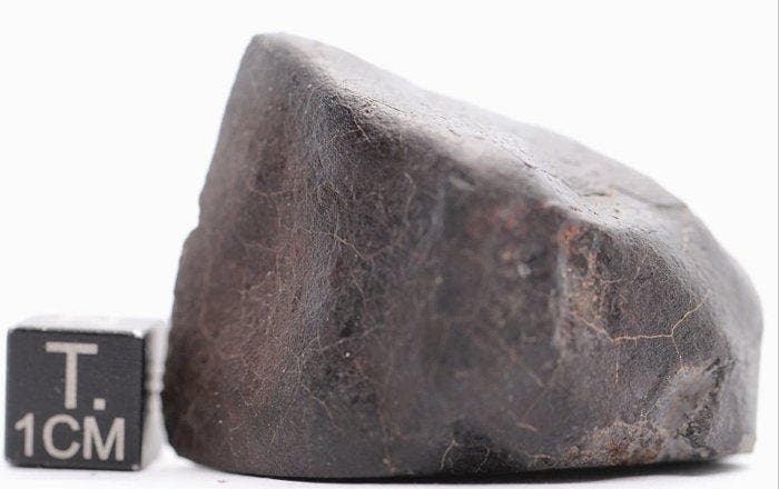 NWA 17743 LL6 breccie met fusiecrust Chondrite meteoriet -, Verzamelen, Mineralen en Fossielen