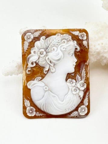 CASSIS MADAGASCARIENSIS - Cameo - Handgesneden camee