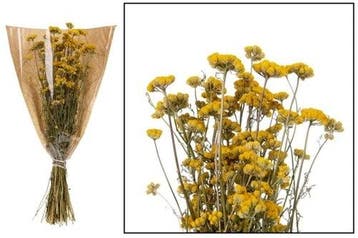 Lona Geel Droogbloem bundel, Nieuw