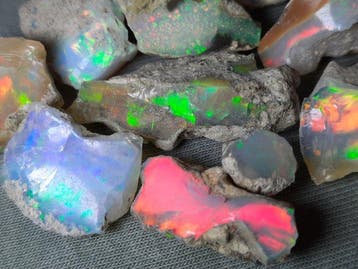 69,3 ct - Topkleuren - Natuurlijke Opalen Ruw- 13.86 g, Verzamelen, Mineralen en Fossielen