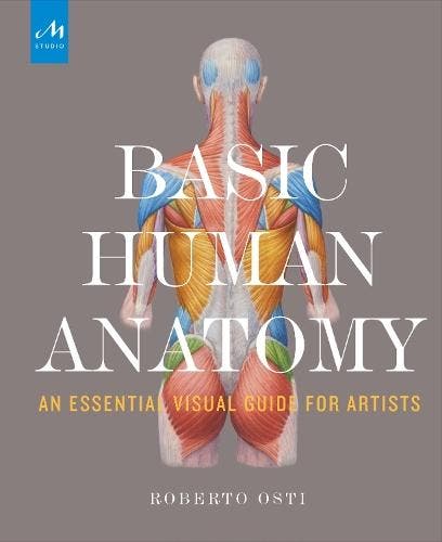 Basic Human Anatomy 9781580934381 Roberto Osti; Peter Drake, Boeken, Overige Boeken, Nieuw, Verzenden