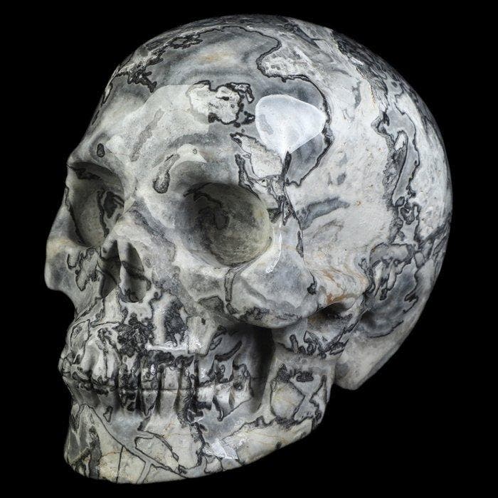 500 g Picasso-Jaspis schedel – grafisch getekend uniek, Verzamelen, Mineralen en Fossielen