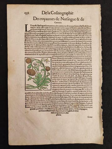 Sebastian Münster (1489–1552) - Cosmographie Universelle -
