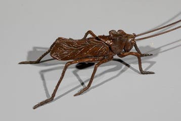 Brons - Een bronzen okimono van een krekel met lange