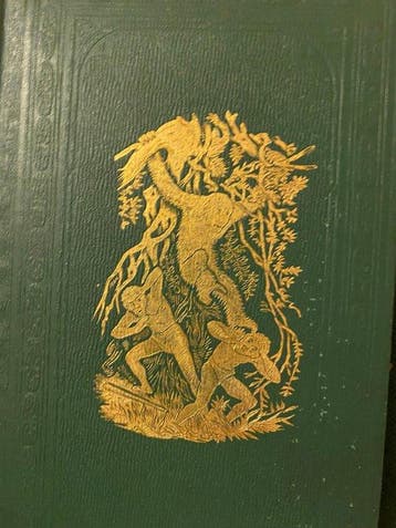 Philip Gosse - 12 volumes by Philip Gosse - 1845-1877