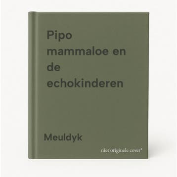 Pipo mammaloe en de echokinderen 9789026104022 Meuldyk, Boeken, Verzenden, Gelezen, Meuldyk