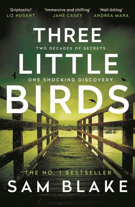 Three Little Birds 9781805460145 Sam Blake, Boeken, Taal | Engels, Zo goed als nieuw, Verzenden