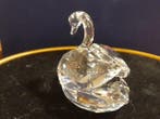 Swarovski - Beeldje - Swan Clear middle - 1075309 - Kristal