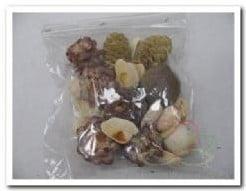 Leucadendron Mix 100 gram kleinverpakking, Nieuw