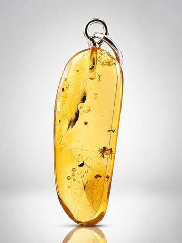 Eoceen Baltisch amberhanger – Prachtige parasitaire wesp met