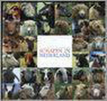 Schapen in Nederland 9789054390978 J. Engelen, Verzenden, Gelezen, J. Engelen