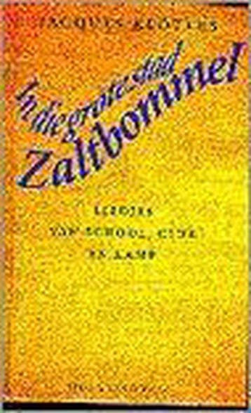 In die grote stad Zaltbommel 9789038840031, Verzenden, Zo goed als nieuw