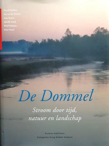 De Dommel 9789073187740 Ronald Buskens, Boeken, Verzenden, Zo goed als nieuw, Ronald Buskens