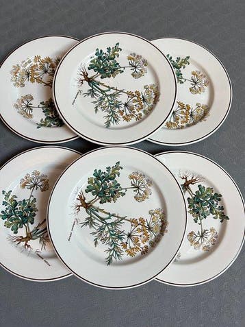 Villeroy & Boch - Plat (6) - botanica - Porcelaine, Antiquités & Art